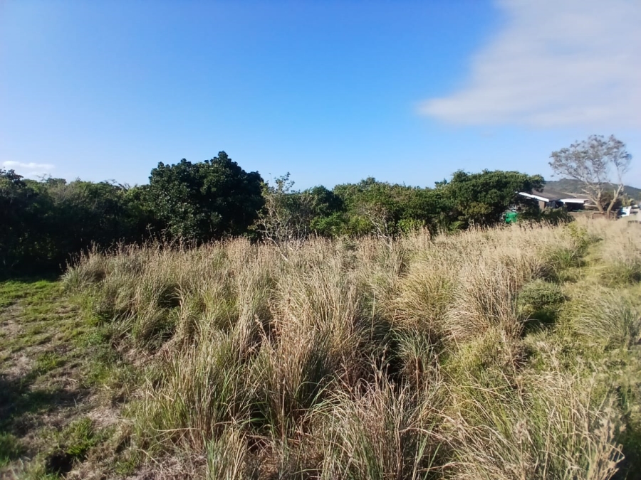 0 Bedroom Property for Sale in Morgans Bay Eastern Cape